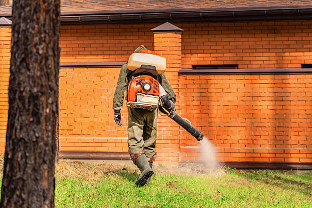 Top rated local Mosquito Control specialists in New Whiteland, IN